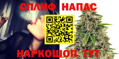 тгк Моздок