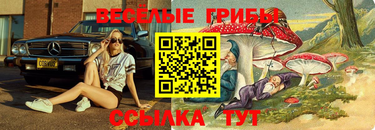Псилоцибиновые грибы Psilocybe Воркута